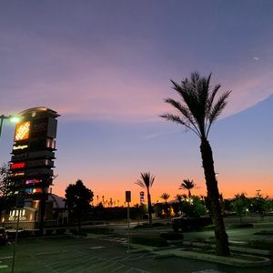 Meet your Posher, Lil